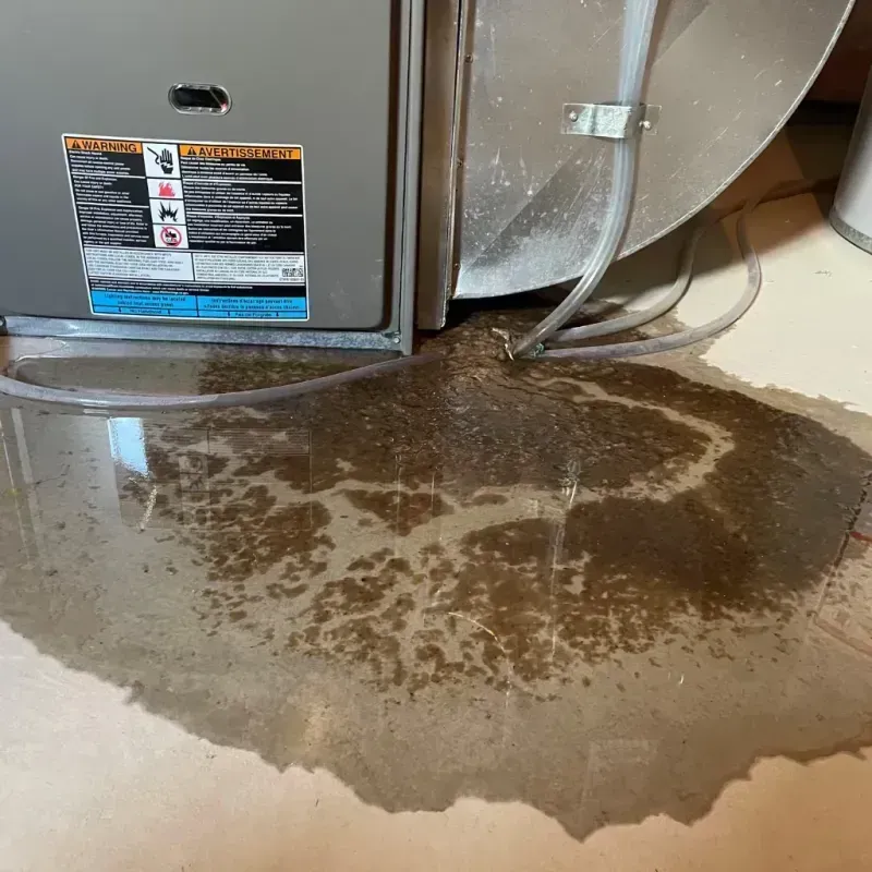 Appliance Leak Cleanup in Eldridge, IA